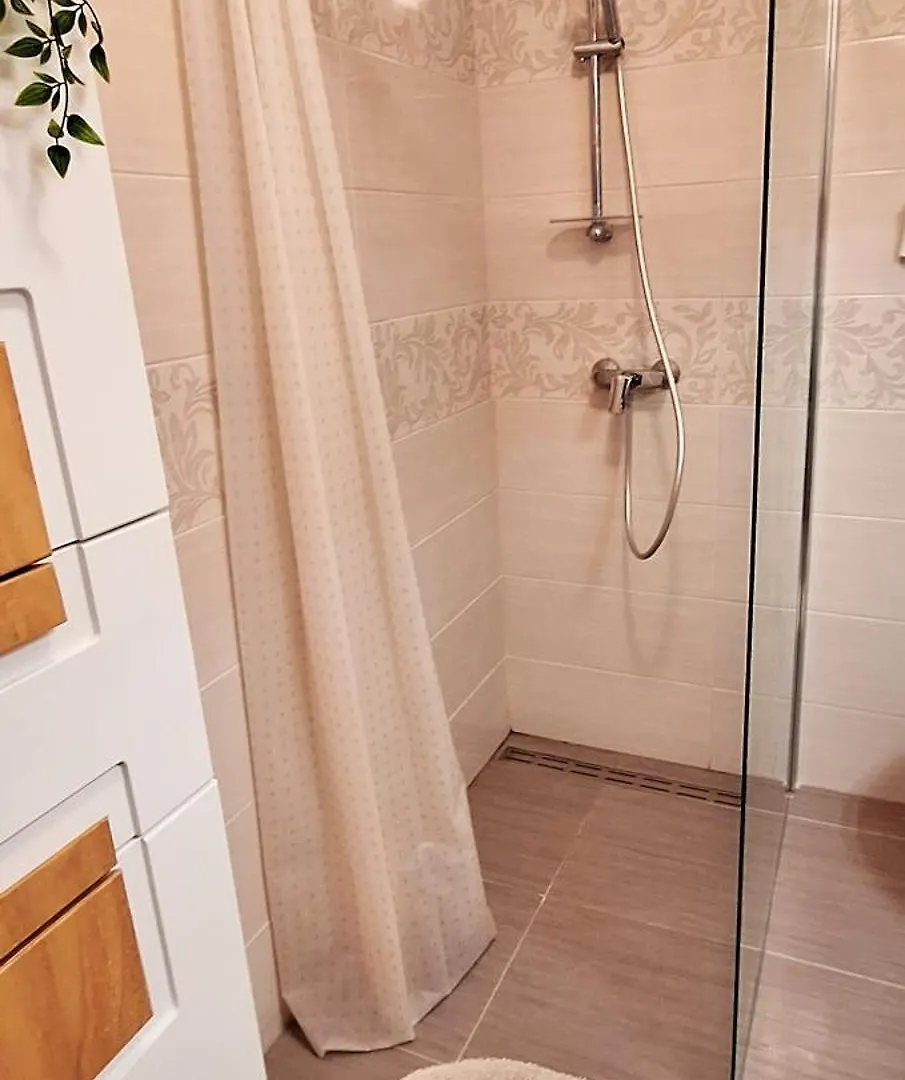 Apartment V&S Pula