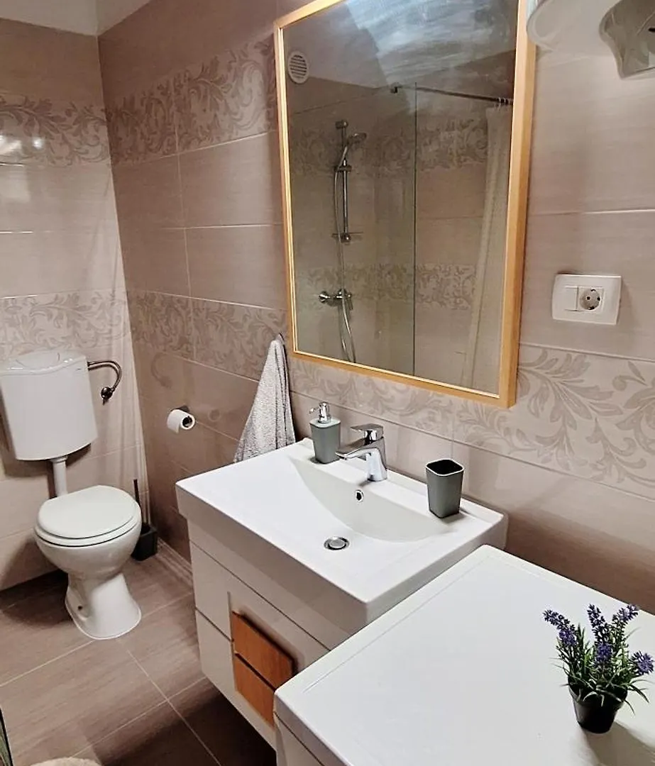 Apartment V&S Pula